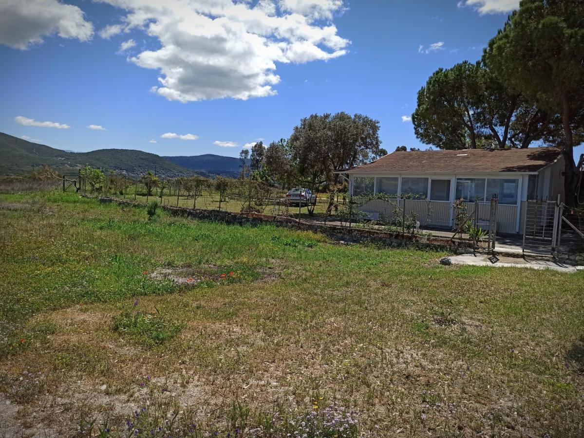 Kite Beach House Lefkáda Dış mekan fotoğraf